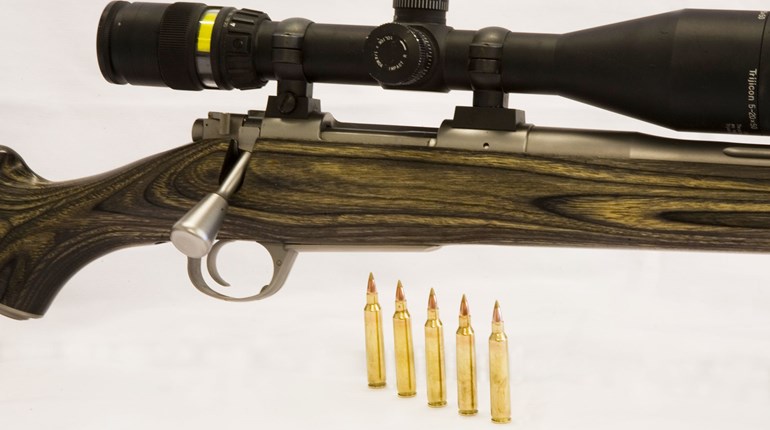 The .204 Ruger: History & Performance | An Official Journal Of The NRA